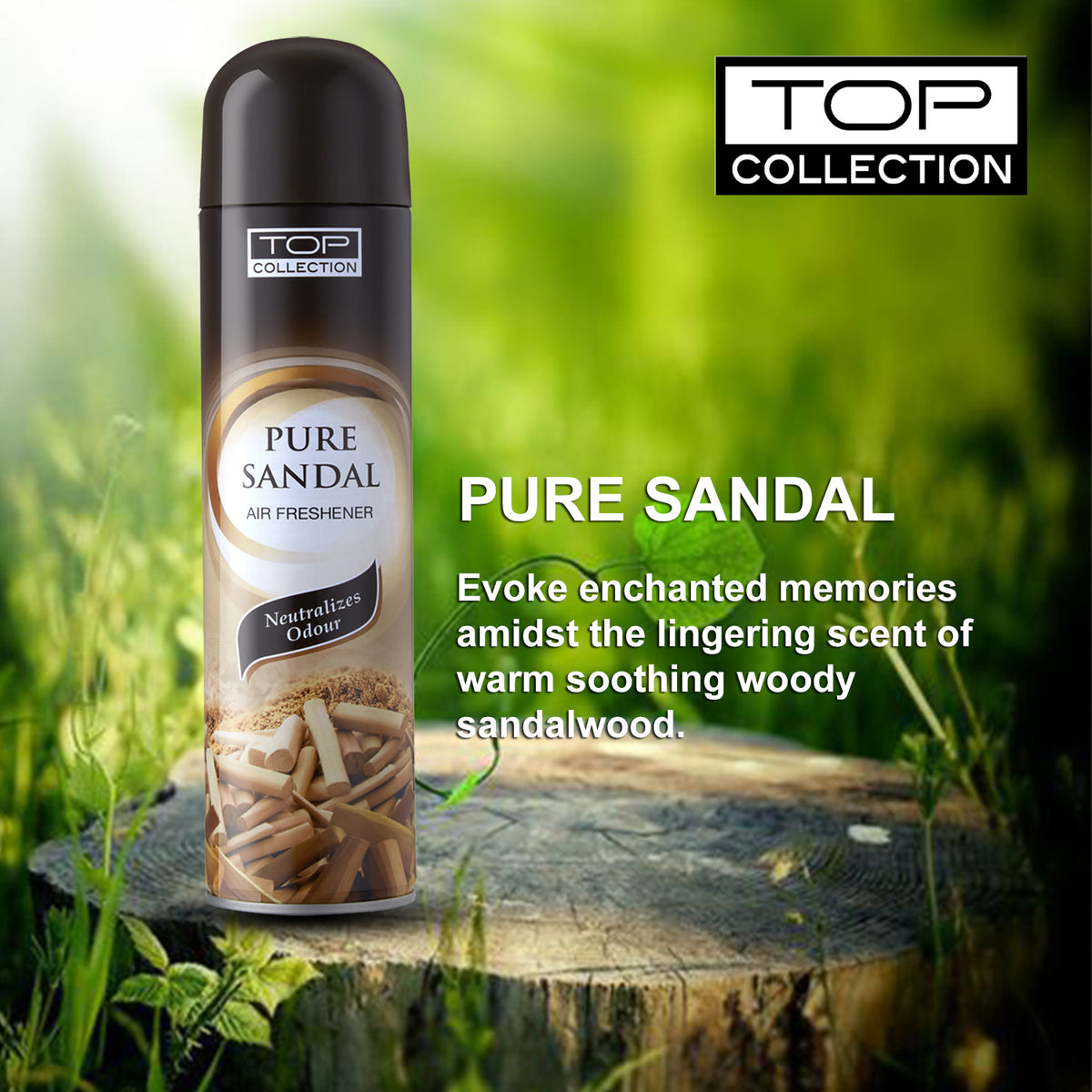 Top Collection Air Freshener - Pure Sandal, 300ml